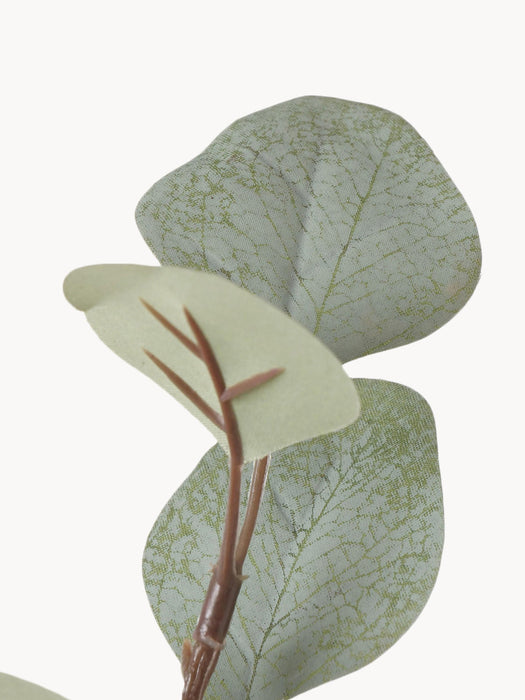 Decorative Branch Eucalyptus