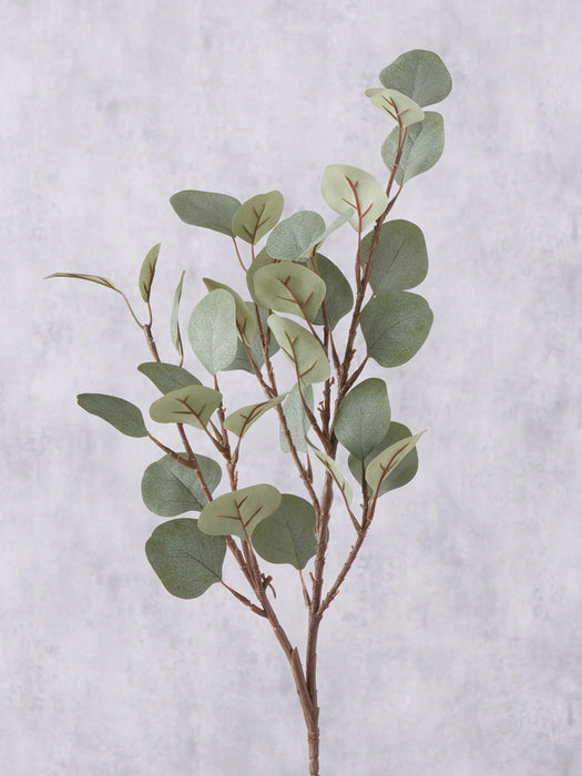 Decorative Branch Eucalyptus