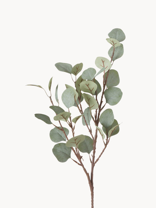 Decorative Branch Eucalyptus