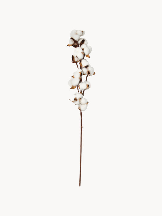 Decorative Branch Baumwolle