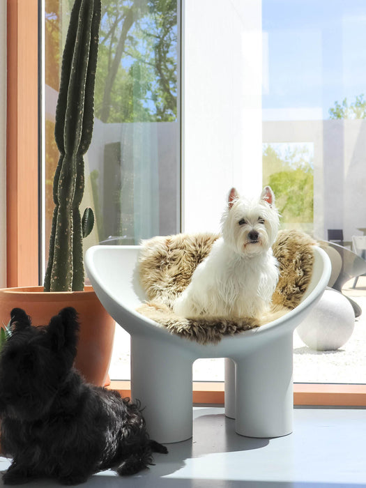Lounge Chair Roly Poly