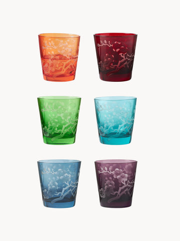 Blossom Tumblers, Set of 6