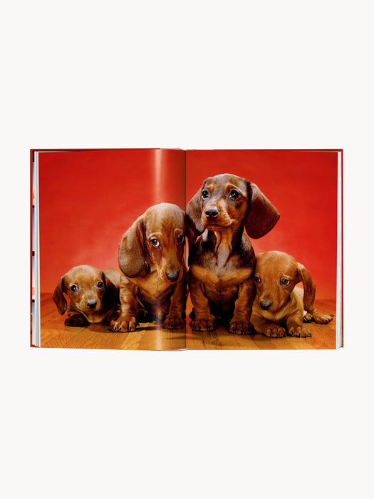 Dogs. Photographs 1941â1991 Photobook