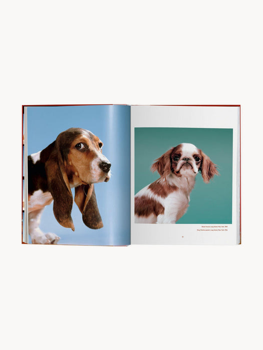 Dogs. Photographs 1941â1991 Photobook