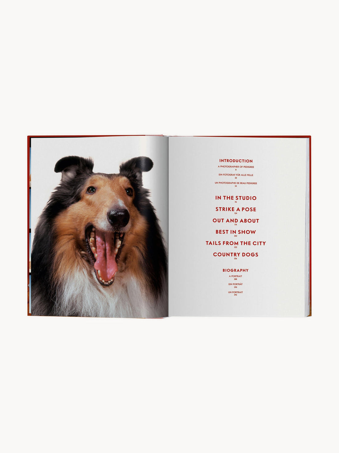 Dogs. Photographs 1941â1991 Photobook