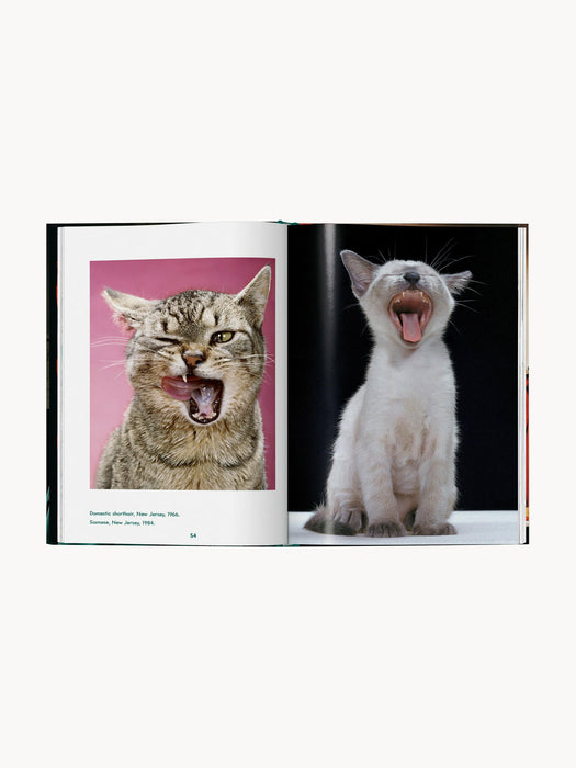 Cats. Photographs 1942â2018 Photobook