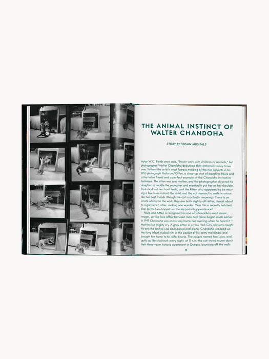 Photobook Cats Photographs 19422018
