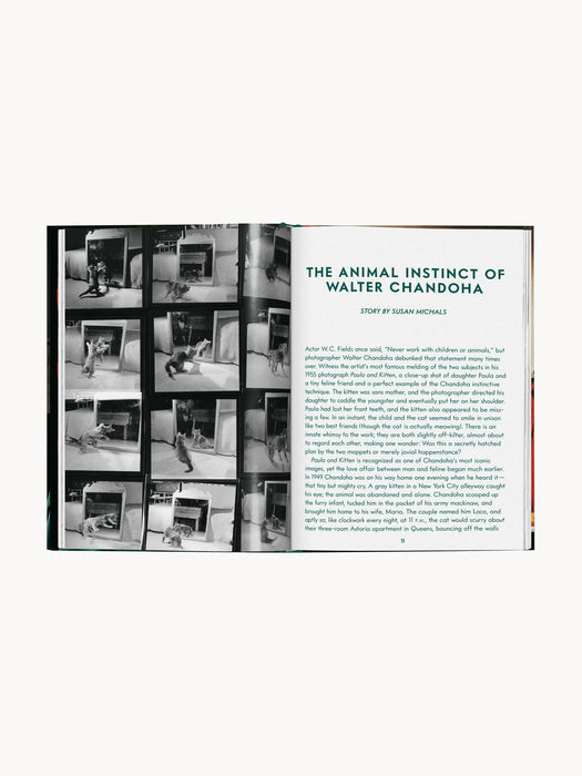 Cats. Photographs 1942â2018 Photobook
