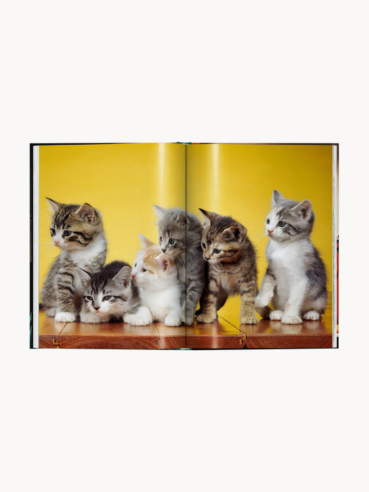 Cats. Photographs 1942â2018 Photobook