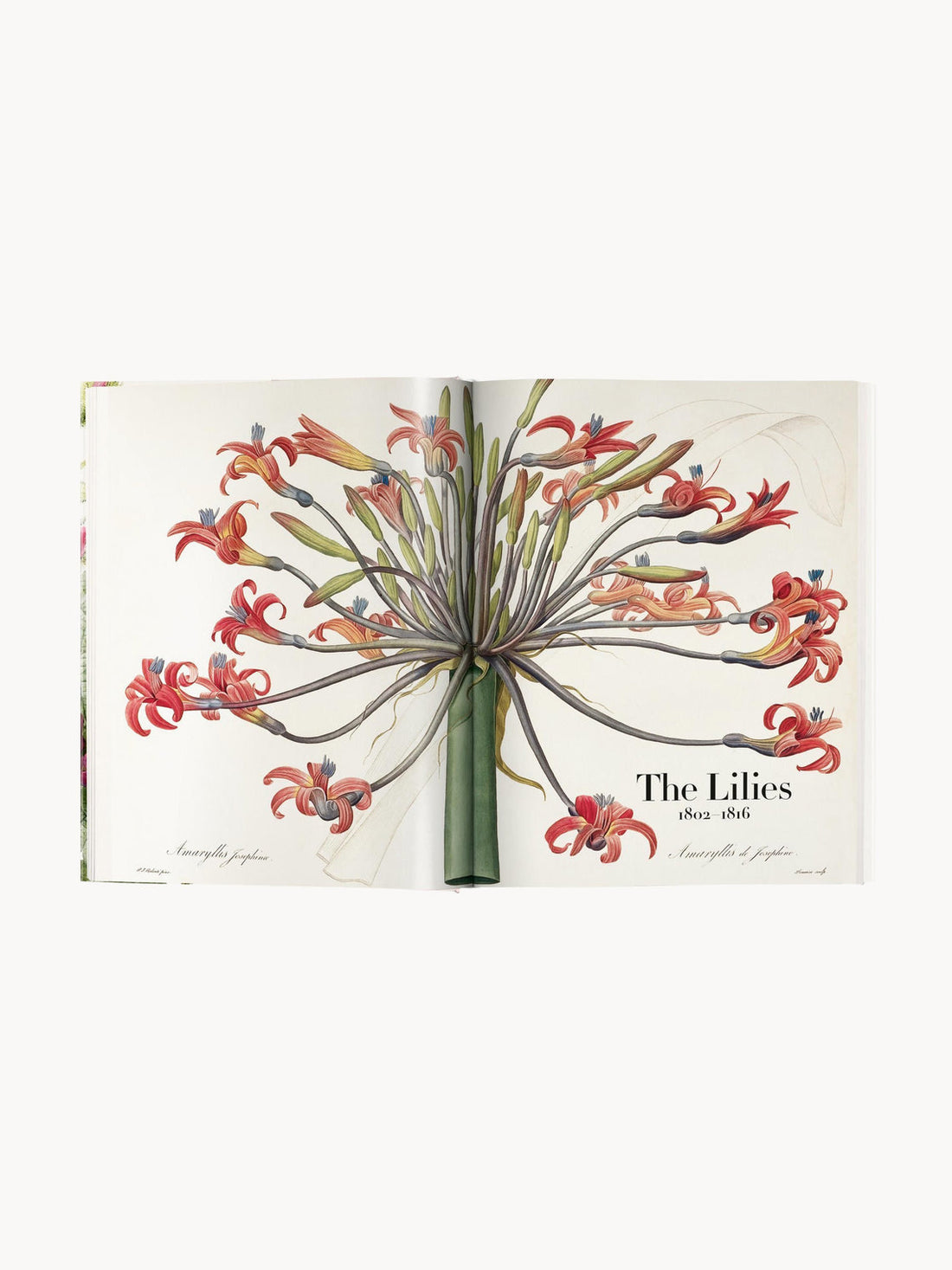 Book of Flowers Coffee Table Book
