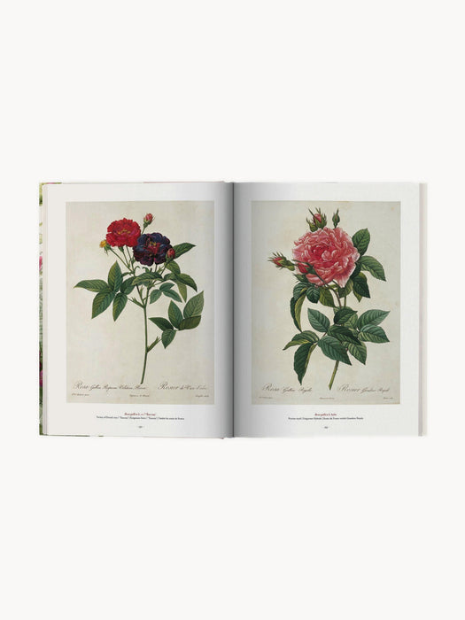 Book of Flowers Coffee Table Book