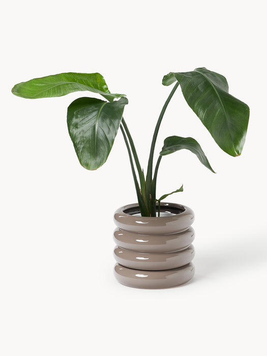 Plant Pot Rudi with Saucer H 16 cm