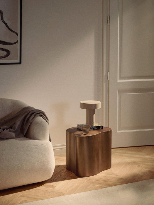 Dale Metal Side Table in Organic Shape