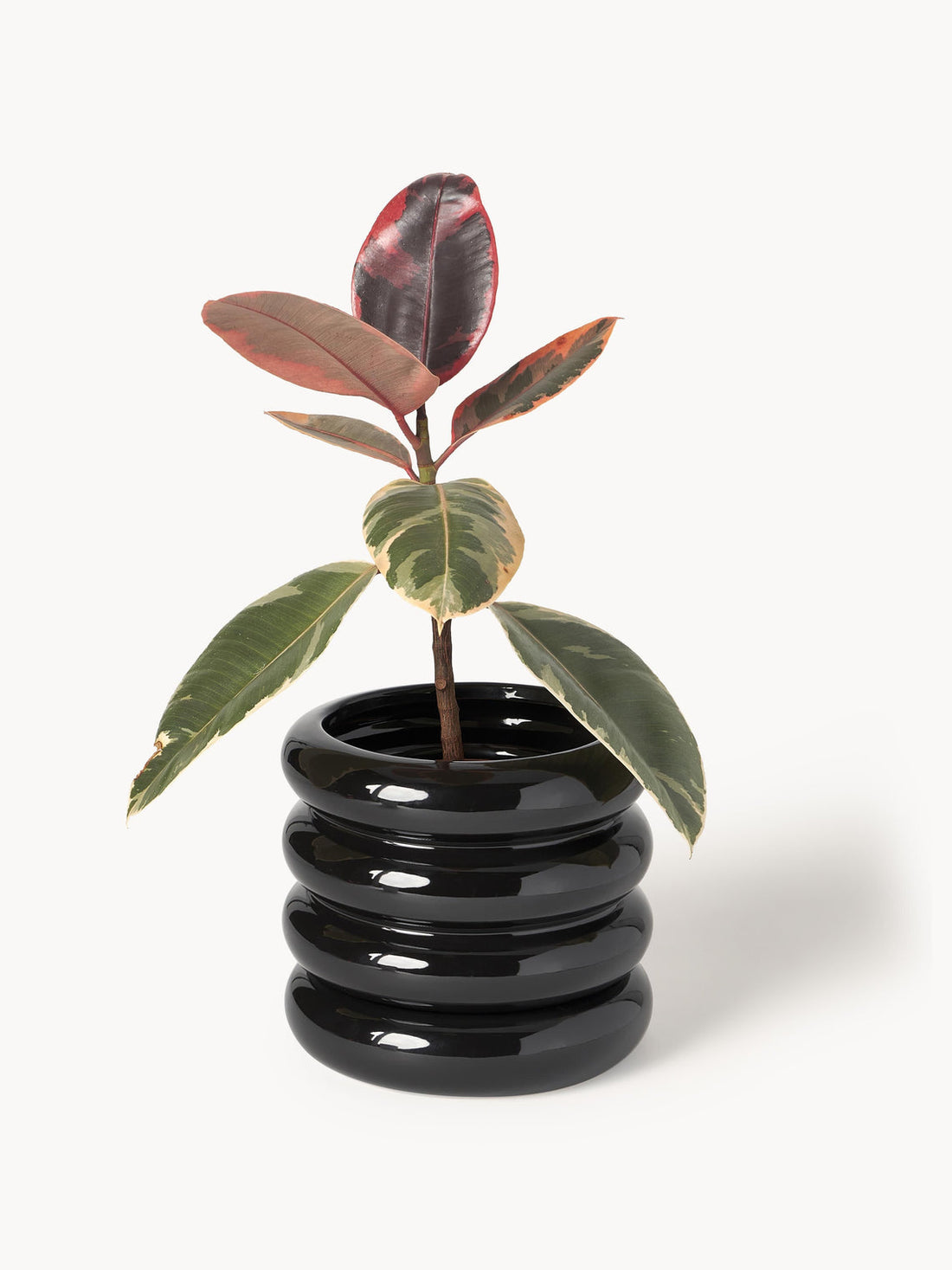 Rudi Plant Pot with Saucer, H 16 cm
