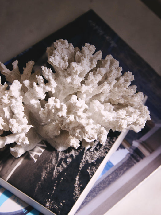 Design Decorative Object Coral