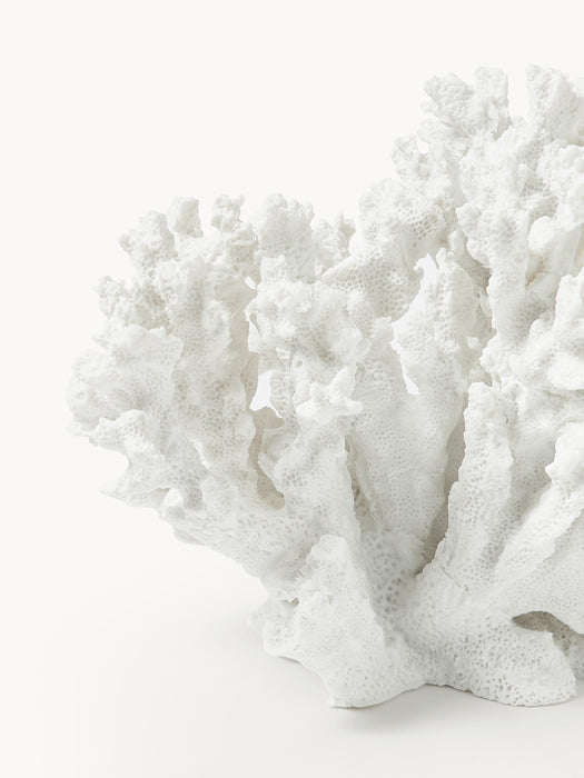 Design Decorative Object Coral