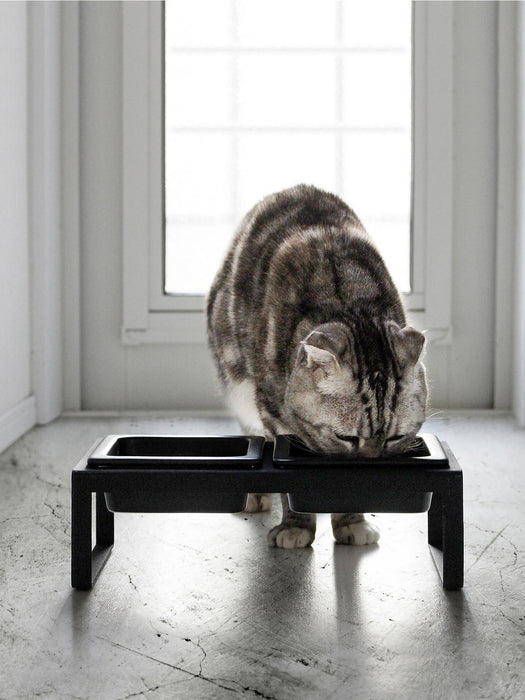 Pet Bowls Tower with Stand