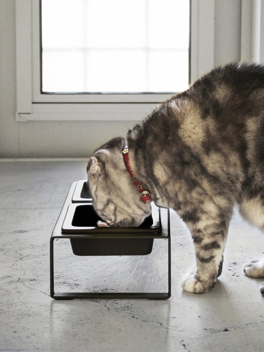 Pet Bowls Tower with Stand