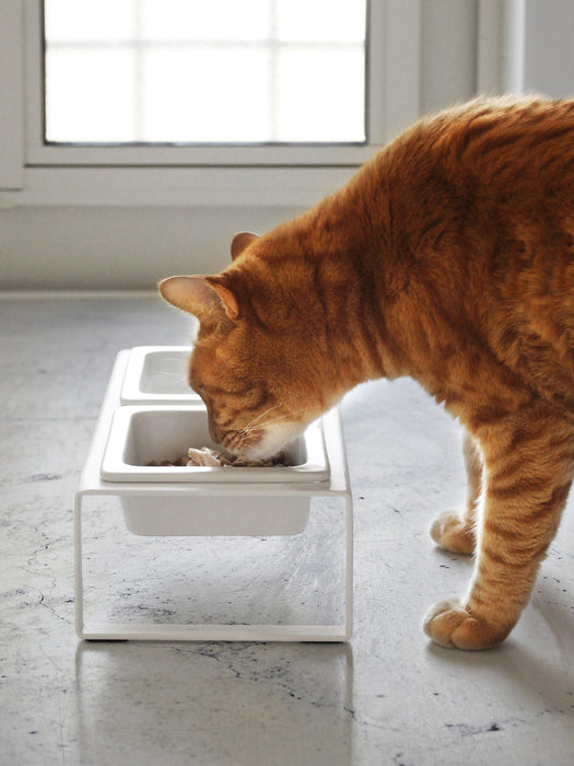 Pet Bowls Tower with Stand