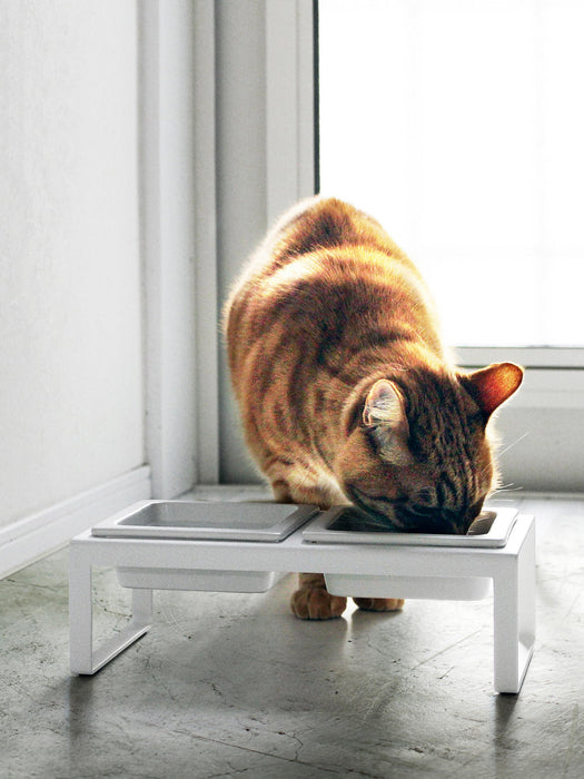 Pet Bowls Tower with Stand