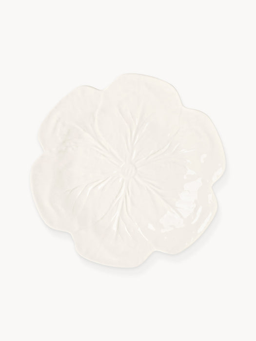 Hand-painted Dinner Plates Cabbage Set of 4