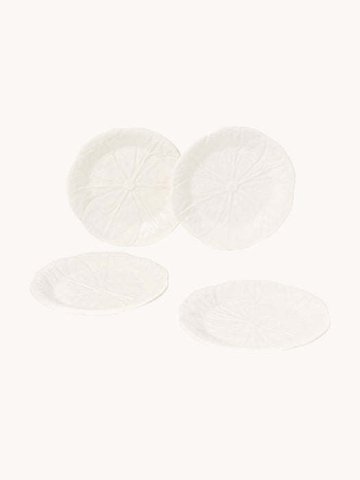 Cabbage Hand-painted Breakfast Plates, Set of 4