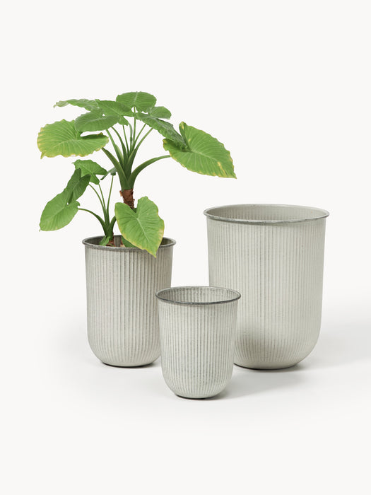 Plant Pots Out Stripe Set of 3