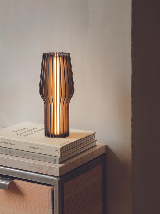 Radiant Small Portable Dimmable LED Table Lamp