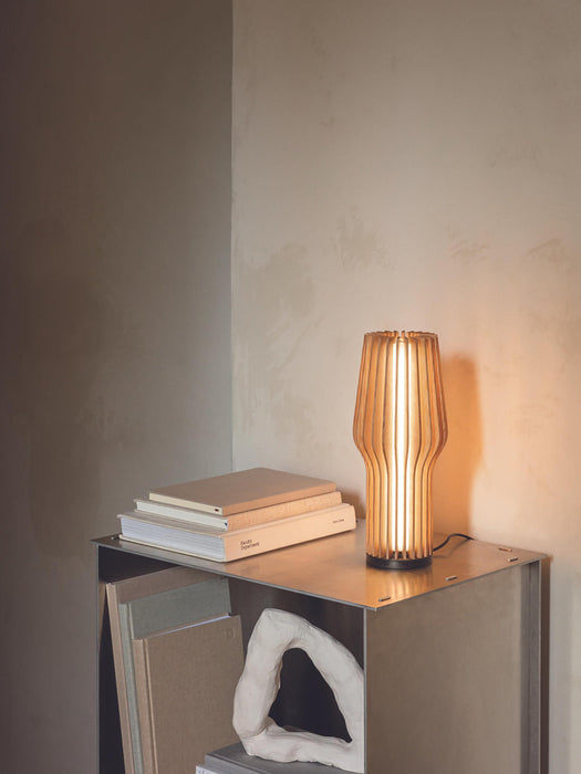 Radiant Small Portable Dimmable LED Table Lamp
