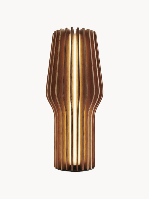 Radiant Small Portable Dimmable LED Table Lamp