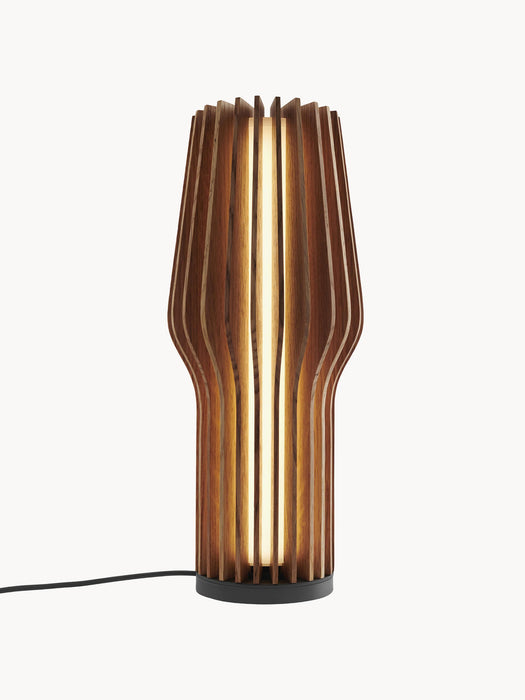 Radiant Small Portable Dimmable LED Table Lamp
