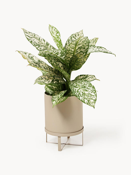 Plant Pot Bau with Ribbed Surface H 38 cm