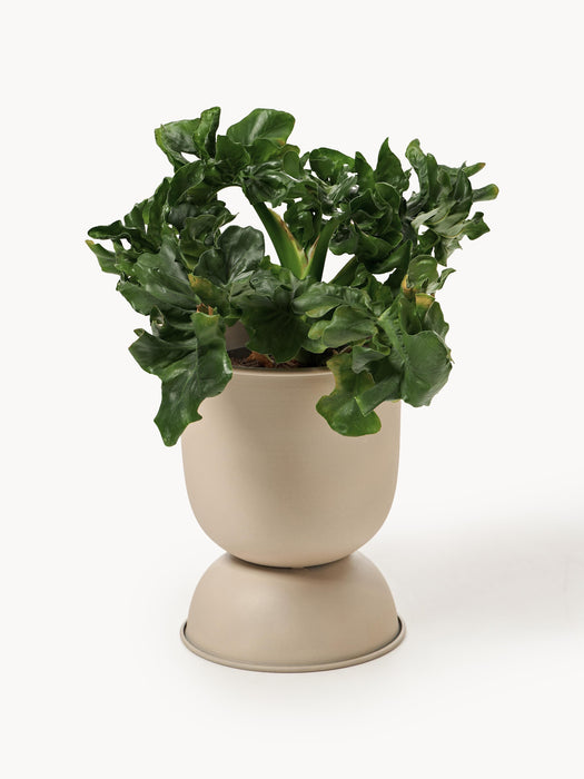 Plant Pot Hourglass H 30 cm