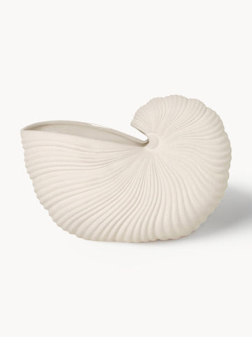 Shell Cover Pot in The Shape of A