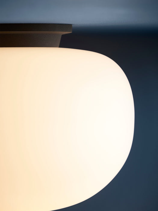 Small Ceiling Lamp Supernate