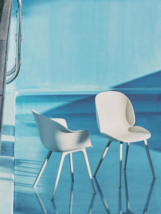 Dining Chair Beetle