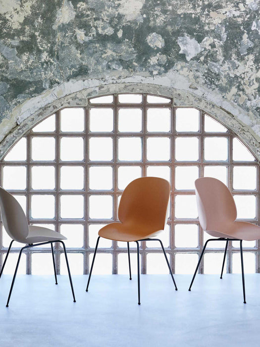 Dining Chair Beetle