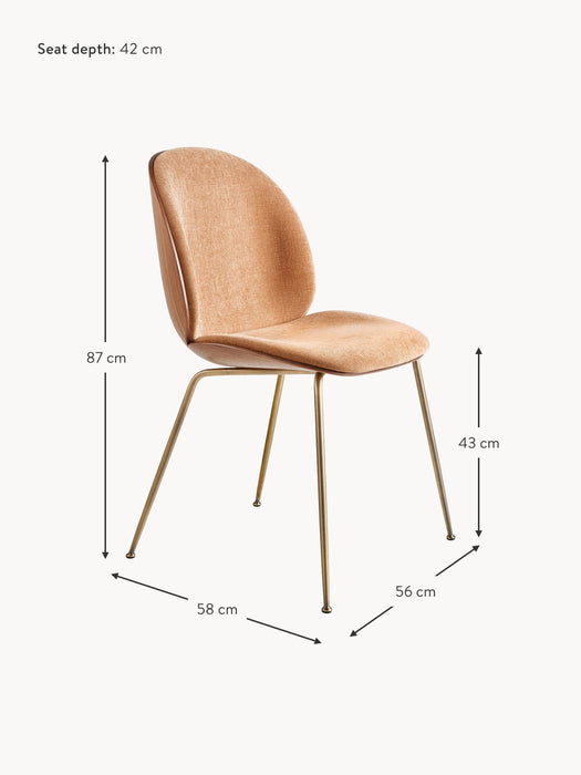 Upholstered Chair Beetle with Seat Shell
