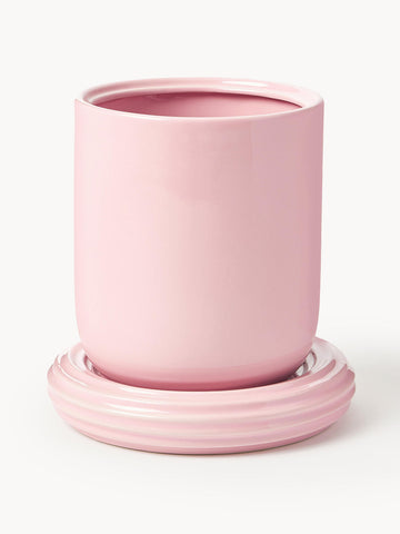 Plant Pot Churros