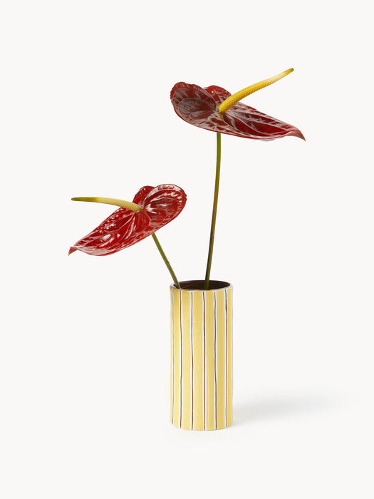 Hand-Painted Porcelain Vase Ray, H 18 cm