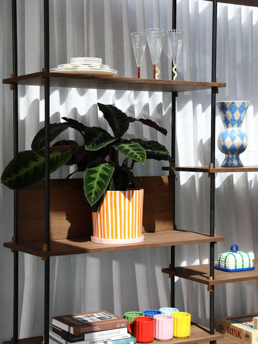 Hand-Painted Porcelain Plant Pot Ray