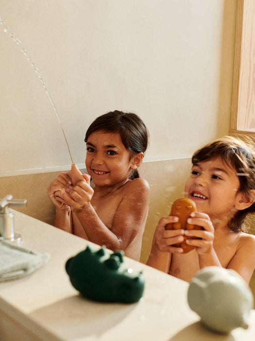 Carolina Bath Toys, Set of 4