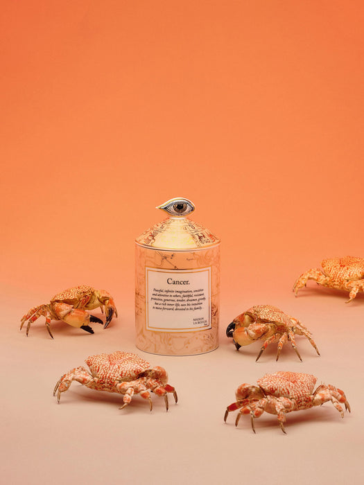 Handmade Scented Candle Cancer Bergamot & Vetiver