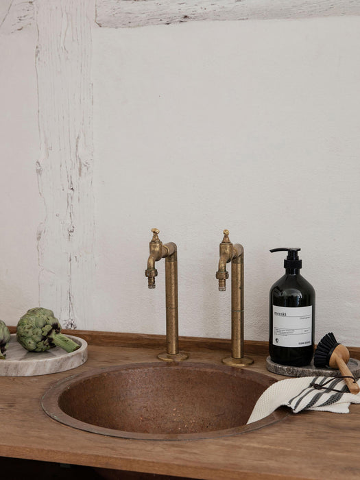 Dishwashing Liquid Forest Garden Mint & Lemon