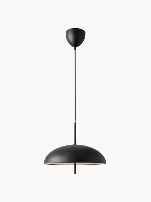Pendant Light Versale