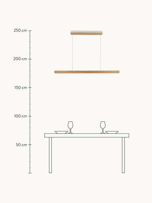 Large Dimmable LED Pendant Light Ilgas