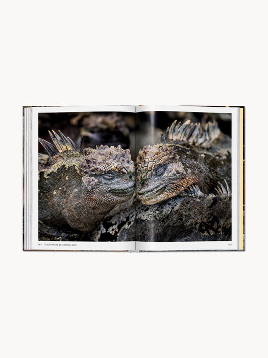 Photobook Steve McCurry Animals