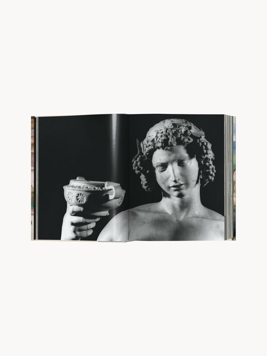 Coffee Table Book Michelangelo Complete Works English Edition