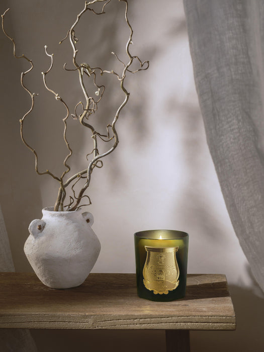 Handmade Scented Candle Cyrnos Black Fig Cedarwood Lavender & Pine