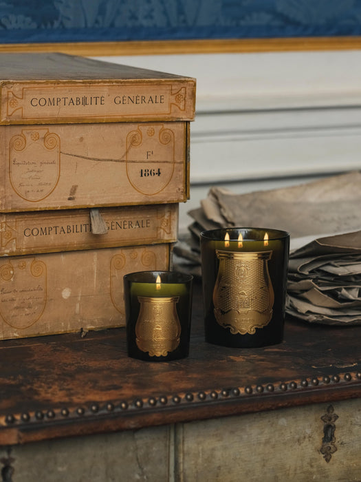 Handmade Scented Three-Wick Candle Ernesto Clove Labdanum Oak Wood & Patchouli